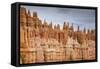 Bryce Canyon at Dawn-Gary Cook-Framed Stretched Canvas