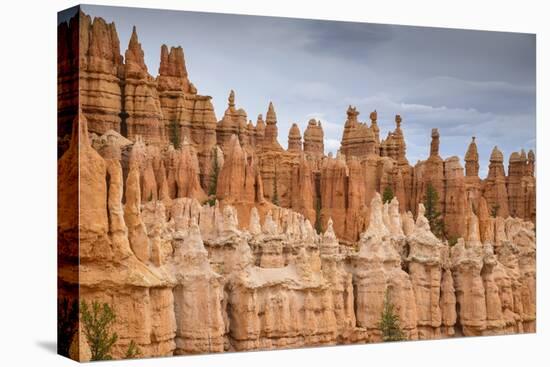 Bryce Canyon at Dawn-Gary Cook-Stretched Canvas