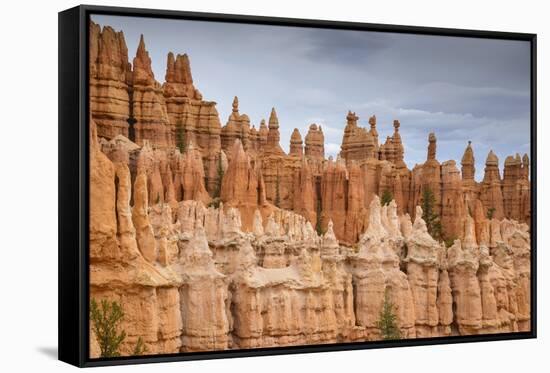 Bryce Canyon at Dawn-Gary Cook-Framed Stretched Canvas