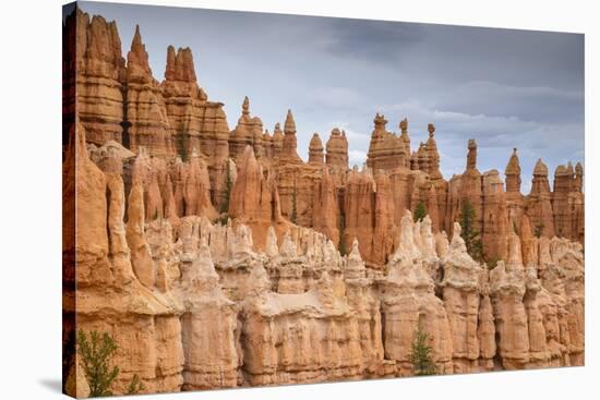 Bryce Canyon at Dawn-Gary Cook-Stretched Canvas