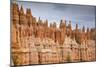 Bryce Canyon at Dawn-Gary Cook-Mounted Photographic Print