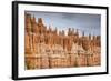 Bryce Canyon at Dawn-Gary Cook-Framed Photographic Print