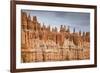 Bryce Canyon at Dawn-Gary Cook-Framed Photographic Print