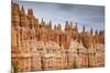 Bryce Canyon at Dawn-Gary Cook-Mounted Photographic Print