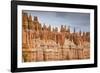 Bryce Canyon at Dawn-Gary Cook-Framed Photographic Print