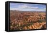 Bryce Canyon at Dawn-Gary Cook-Framed Stretched Canvas