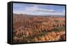Bryce Canyon at Dawn-Gary Cook-Framed Stretched Canvas