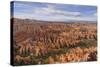 Bryce Canyon at Dawn-Gary Cook-Stretched Canvas