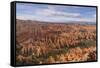 Bryce Canyon at Dawn-Gary Cook-Framed Stretched Canvas