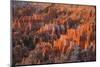 Bryce Canyon at Dawn-Gary Cook-Mounted Photographic Print