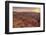 Bryce Canyon at Dawn-Gary Cook-Framed Photographic Print