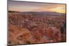 Bryce Canyon at Dawn-Gary Cook-Mounted Photographic Print