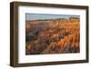 Bryce Canyon at Dawn-Gary Cook-Framed Photographic Print