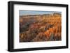 Bryce Canyon at Dawn-Gary Cook-Framed Photographic Print