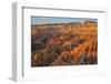 Bryce Canyon at Dawn-Gary Cook-Framed Photographic Print