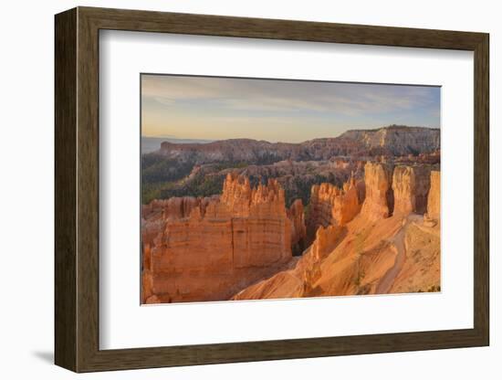 Bryce Canyon at Dawn-Gary Cook-Framed Photographic Print