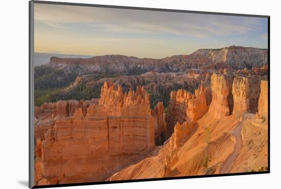 Bryce Canyon at Dawn-Gary Cook-Mounted Photographic Print