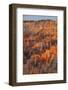 Bryce Canyon at Dawn-Gary Cook-Framed Photographic Print