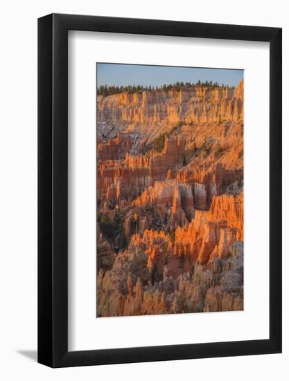 Bryce Canyon at Dawn-Gary Cook-Framed Photographic Print