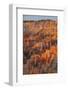 Bryce Canyon at Dawn-Gary Cook-Framed Photographic Print