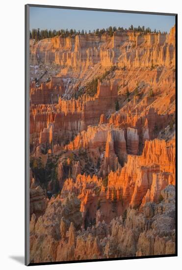 Bryce Canyon at Dawn-Gary Cook-Mounted Photographic Print