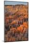 Bryce Canyon at Dawn-Gary Cook-Mounted Photographic Print