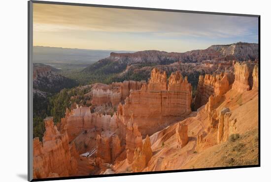 Bryce Canyon at Dawn-Gary Cook-Mounted Photographic Print