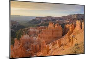 Bryce Canyon at Dawn-Gary Cook-Mounted Photographic Print