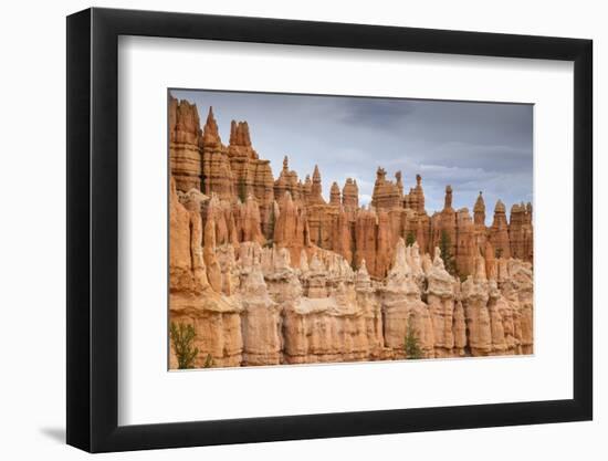 Bryce Canyon at Dawn-Gary Cook-Framed Photographic Print