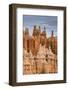 Bryce Canyon at Dawn-Gary Cook-Framed Photographic Print