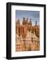 Bryce Canyon at Dawn-Gary Cook-Framed Photographic Print