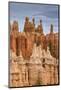 Bryce Canyon at Dawn-Gary Cook-Mounted Photographic Print