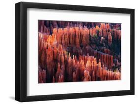 Bryce Canyon at Sunset-Li Austin-Framed Photographic Print