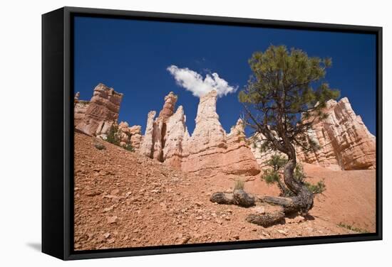 Bryce Canyon, Bryce Canyon National Park, Utah, United States of America, North America-Ben Pipe-Framed Stretched Canvas