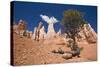 Bryce Canyon, Bryce Canyon National Park, Utah, United States of America, North America-Ben Pipe-Stretched Canvas
