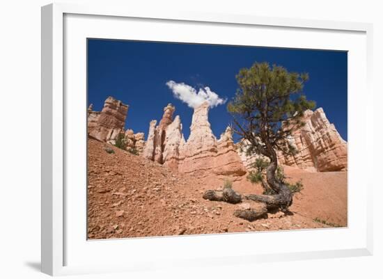 Bryce Canyon, Bryce Canyon National Park, Utah, United States of America, North America-Ben Pipe-Framed Photographic Print