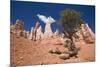 Bryce Canyon, Bryce Canyon National Park, Utah, United States of America, North America-Ben Pipe-Mounted Photographic Print