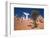 Bryce Canyon, Bryce Canyon National Park, Utah, United States of America, North America-Ben Pipe-Framed Photographic Print