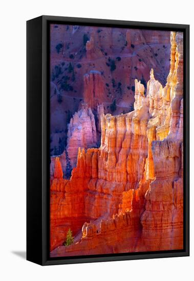Bryce Canyon Dawn-Douglas Taylor-Framed Stretched Canvas
