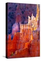 Bryce Canyon Dawn-Douglas Taylor-Stretched Canvas