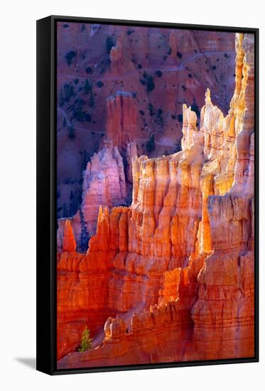 Bryce Canyon Dawn-Douglas Taylor-Framed Stretched Canvas