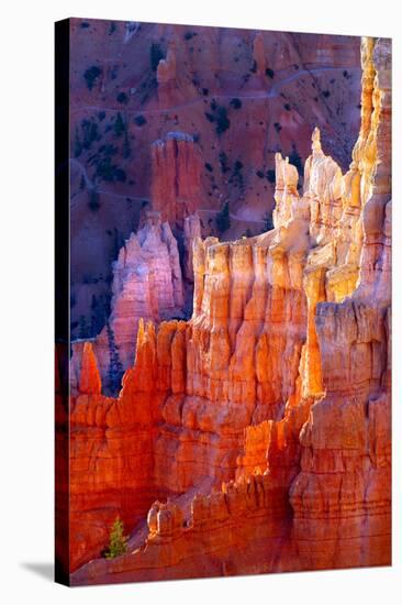 Bryce Canyon Dawn-Douglas Taylor-Stretched Canvas