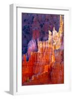Bryce Canyon Dawn-Douglas Taylor-Framed Photographic Print