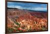 Bryce Canyon from Inspiration Point, Utah-Geraint Tellem-Framed Photographic Print