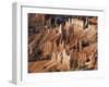 Bryce Canyon from Sunrise Point, Bryce Canyon National Park, Utah, USA-Jamie & Judy Wild-Framed Premium Photographic Print