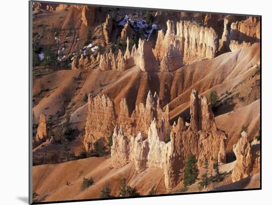 Bryce Canyon from Sunrise Point, Bryce Canyon National Park, Utah, USA-Jamie & Judy Wild-Mounted Premium Photographic Print