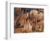 Bryce Canyon from Sunrise Point, Bryce Canyon National Park, Utah, USA-Jamie & Judy Wild-Framed Photographic Print