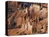 Bryce Canyon from Sunrise Point, Bryce Canyon National Park, Utah, USA-Jamie & Judy Wild-Stretched Canvas