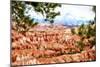 Bryce Canyon II-Philippe Hugonnard-Mounted Giclee Print