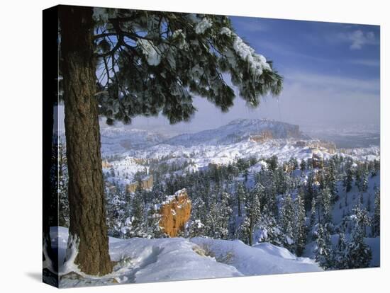 Bryce Canyon in Winter, Utah, USA-Nancy Rotenberg-Stretched Canvas